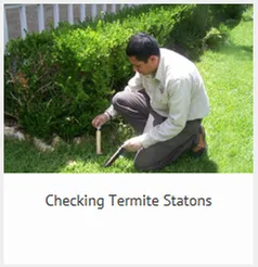 Top-rated lawn mowing service for beautiful yards in Bryan, TX by Binford Insect Control Services