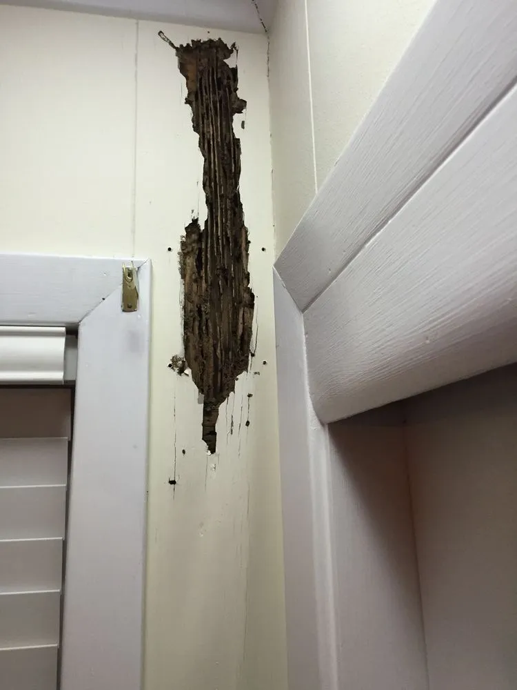 Professional landscape design experts serving Bryan, TX - Binford Insect Control Services