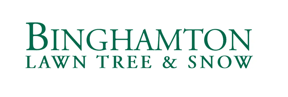 Professional landscape installation for residential properties across Endicott, NY - Binghamton Lawn Tree & Snow