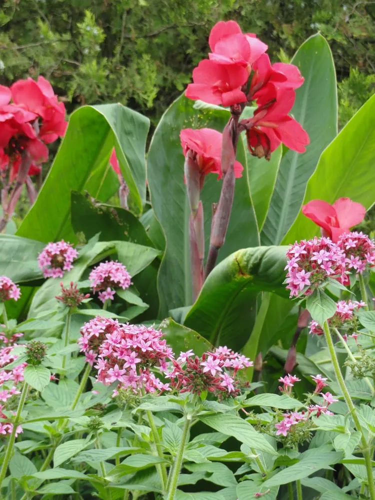 Expert landscape installation in Montchanin, DE by Binkley Horticulture