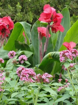 Binkley Horticulture