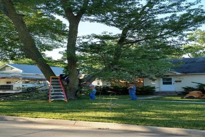 Expert landscape installation in Knoxville, IA - Binns & Sons Tree Service