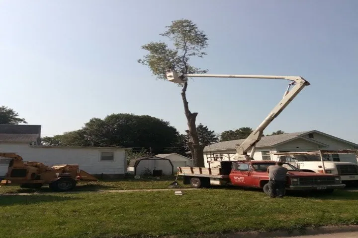 Expert residential landscaping in Knoxville, IA by Binns & Sons Tree Service
