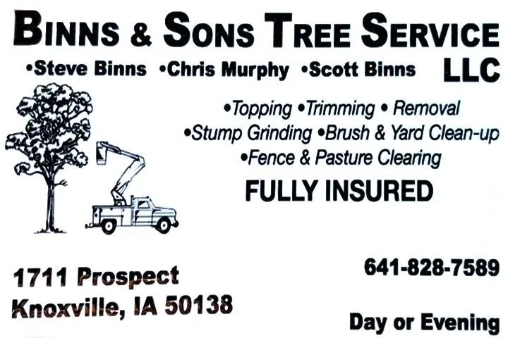 Custom residential landscaping for outdoor upgrades in Knoxville, IA by Binns & Sons Tree Service