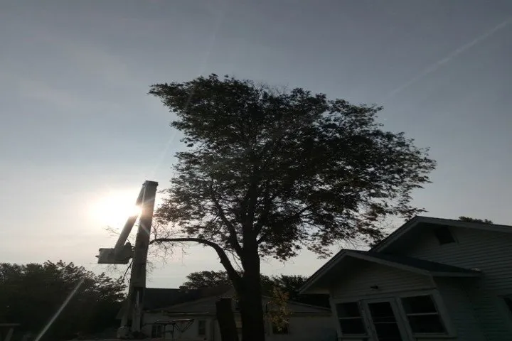 Professional outdoor landscaping in Knoxville, IA by Binns & Sons Tree Service