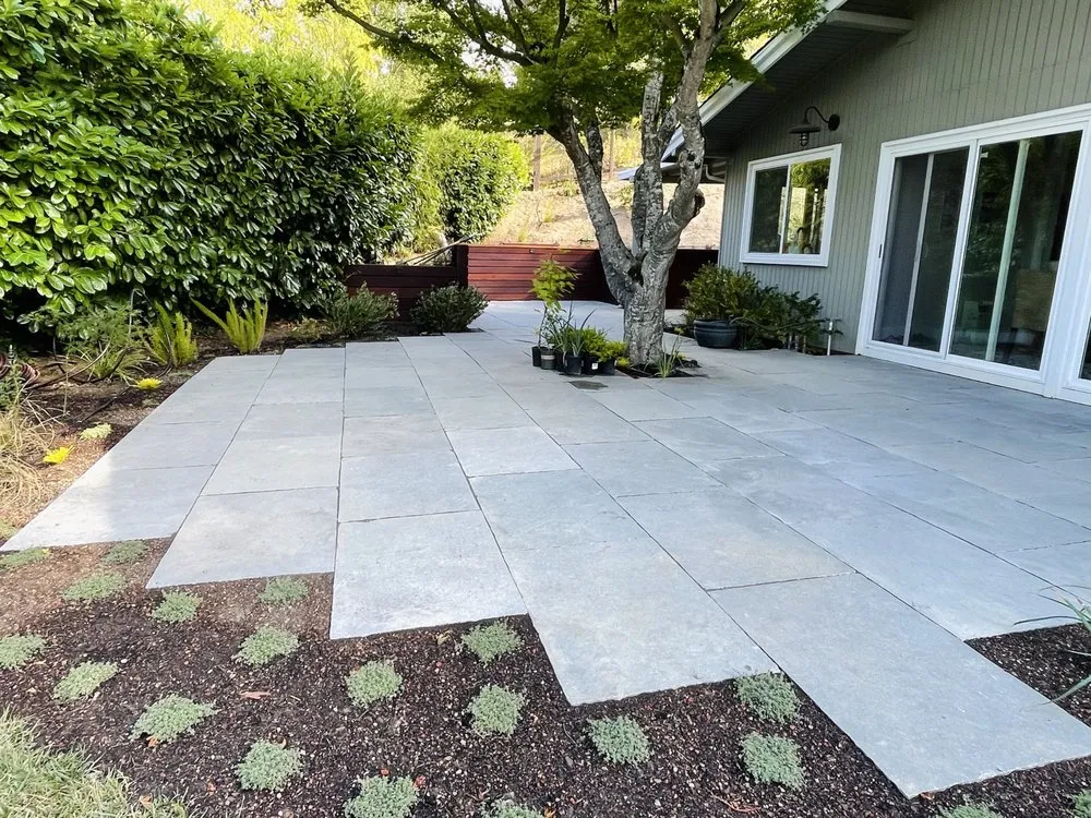 Reliable yard cleanup service near you across Berkeley, CA - Bio Friendly Gardens