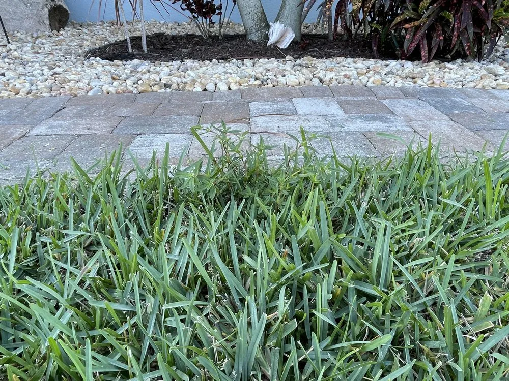 Custom outdoor landscaping for year-round maintenance in Rockledge, FL by Bio Green of Brevard