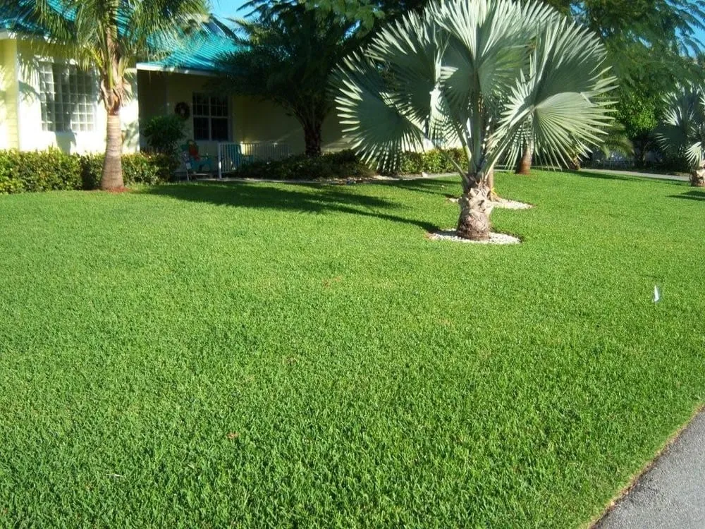 Expert landscaping services experts serving Rockledge, FL - Bio Green of Brevard