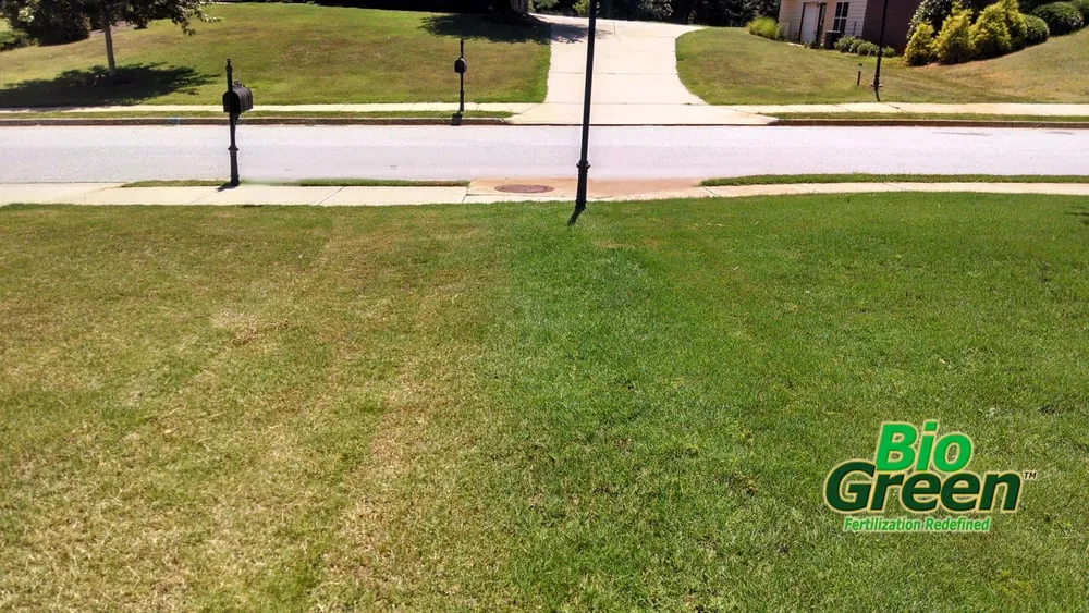 Reliable yard maintenance experts serving Rockledge, FL - Bio Green of Brevard