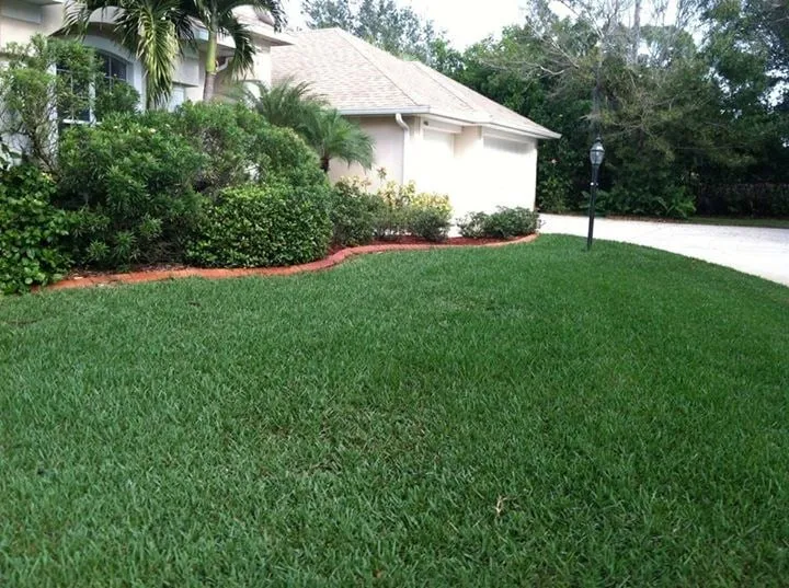 Top-rated landscape installation with custom design in Rockledge, FL by Bio Green of Brevard