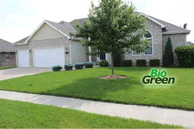 Trusted garden landscaping in Rockledge, FL by Bio Green of Brevard