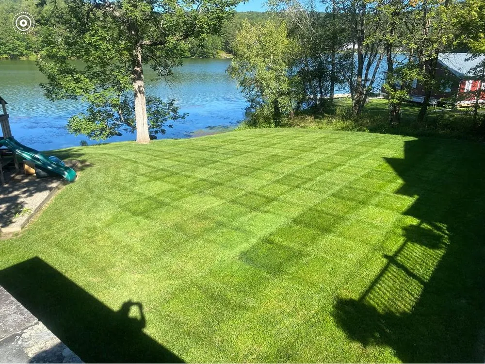 Expert yard cleanup service in Richmondville, NY by Bio Green of Upstate NY