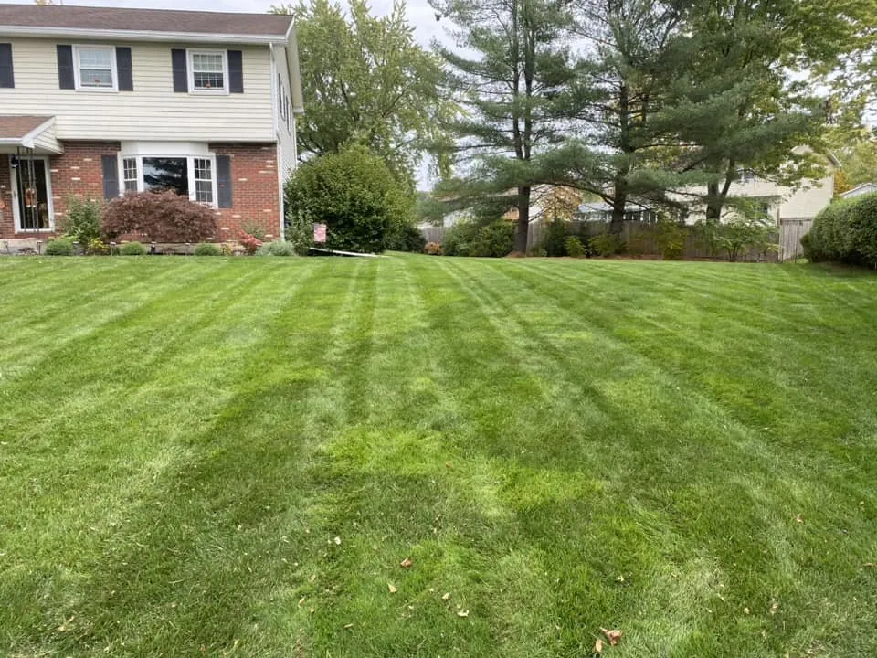 Professional landscape installation near you in Richmondville, NY by Bio Green of Upstate NY