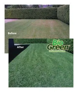 Trusted landscape installation in Richmondville, NY - Bio Green of Upstate NY