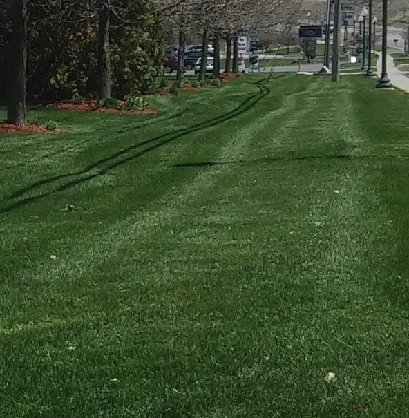 Local lawn mowing service experts serving Richmondville, NY - Bio Green of Upstate NY