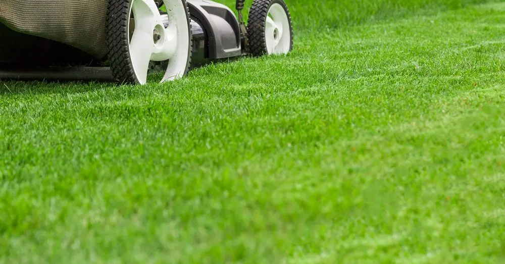 Custom garden landscaping in Manassas, VA - Bio Green Outdoor Services