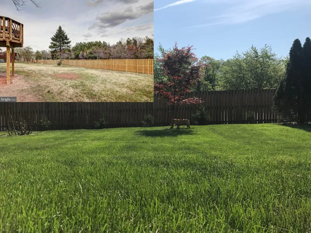 Custom landscape installation for beautiful yards across Manassas, VA - Bio Green Outdoor Services