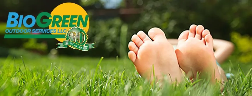 Expert yard cleanup service experts serving Sterling, VA - Bio Green Outdoor Services