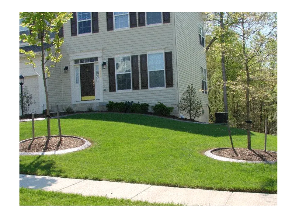 Affordable landscape design for beautiful yards across Sterling, VA - Bio Green Outdoor Services