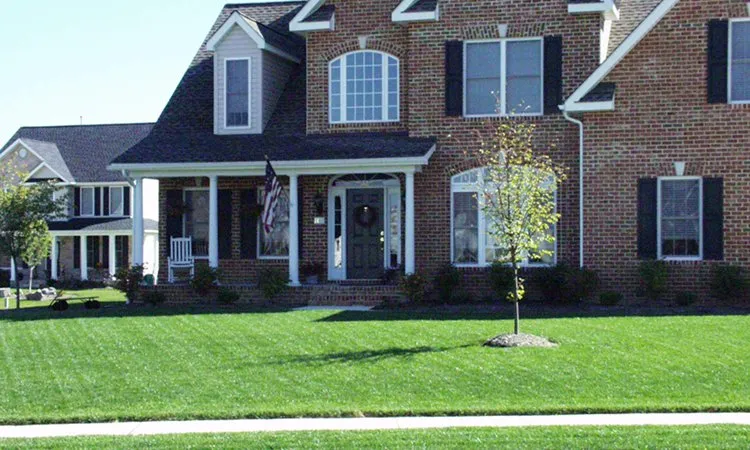 Custom outdoor landscaping for residential properties across Sterling, VA - Bio Green Outdoor Services