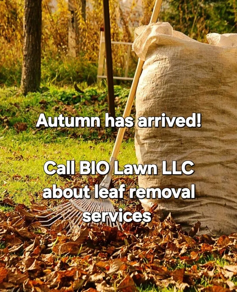 Custom landscaping services in Lenexa, KS by BIO Lawn