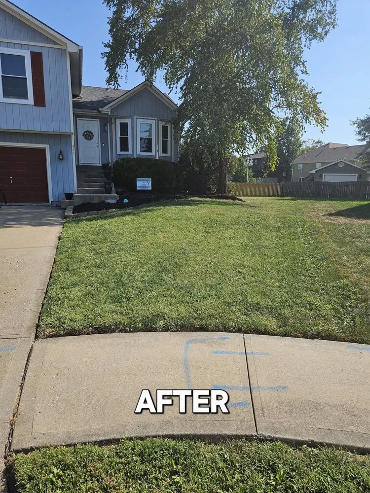 Custom lawn mowing service with custom design in Lenexa, KS by BIO Lawn