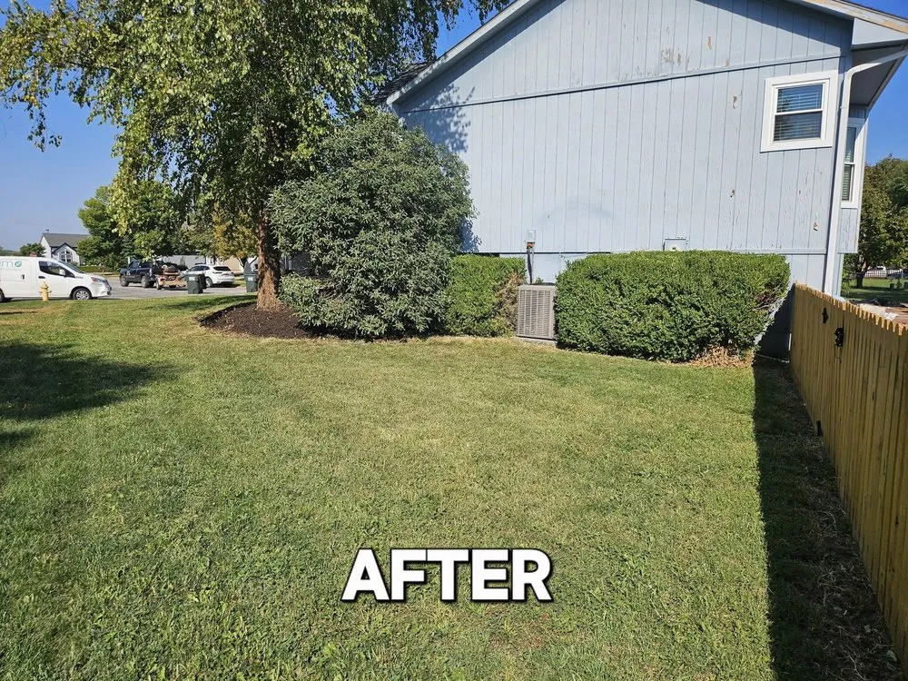 Top-rated lawn care service experts serving Lenexa, KS - BIO Lawn