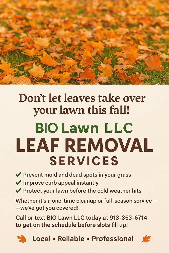 Top-rated residential landscaping for outdoor upgrades across Lenexa, KS - BIO Lawn