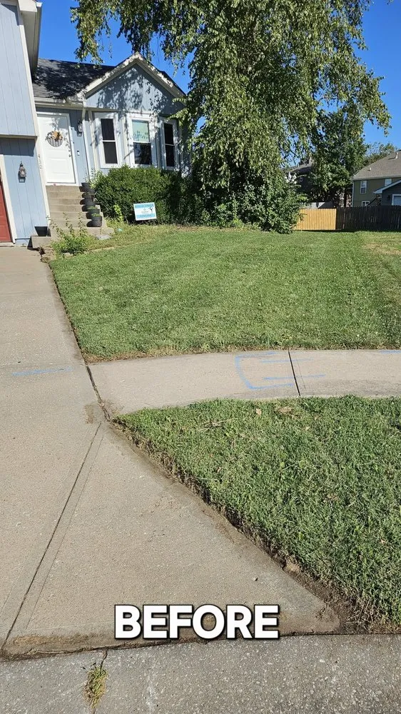 Professional landscape design experts serving Lenexa, KS - BIO Lawn