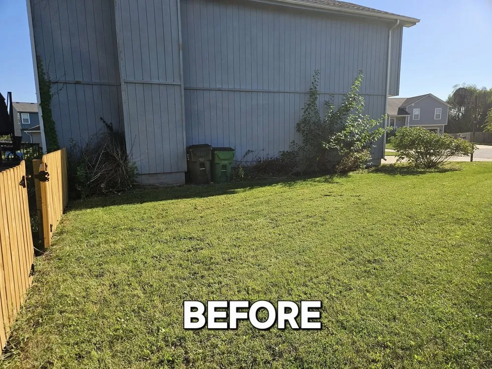 Reliable yard maintenance for outdoor upgrades across Lenexa, KS - BIO Lawn