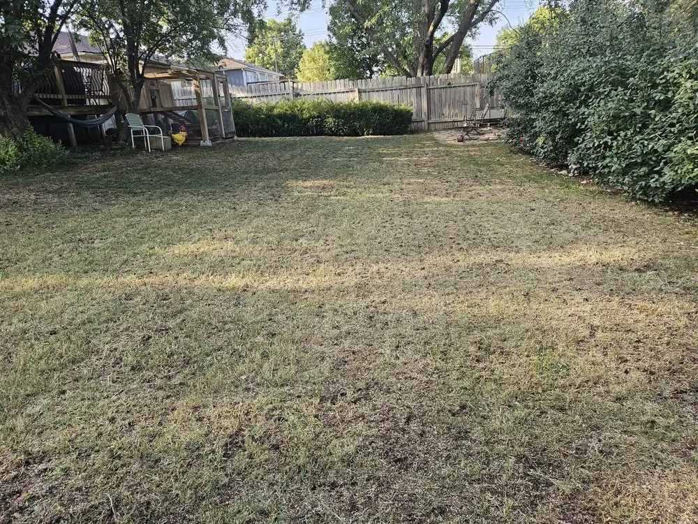 Expert yard cleanup service for year-round maintenance in Lenexa, KS by BIO Lawn
