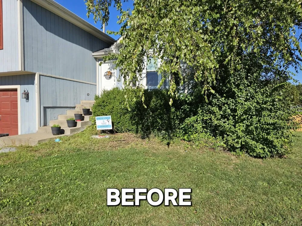 Top-rated yard maintenance for beautiful yards across Lenexa, KS - BIO Lawn