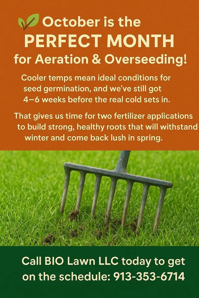 Top-rated yard cleanup service in Lenexa, KS - BIO Lawn