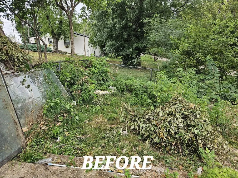 Trusted landscape installation with custom design in Lenexa, KS by BIO Lawn