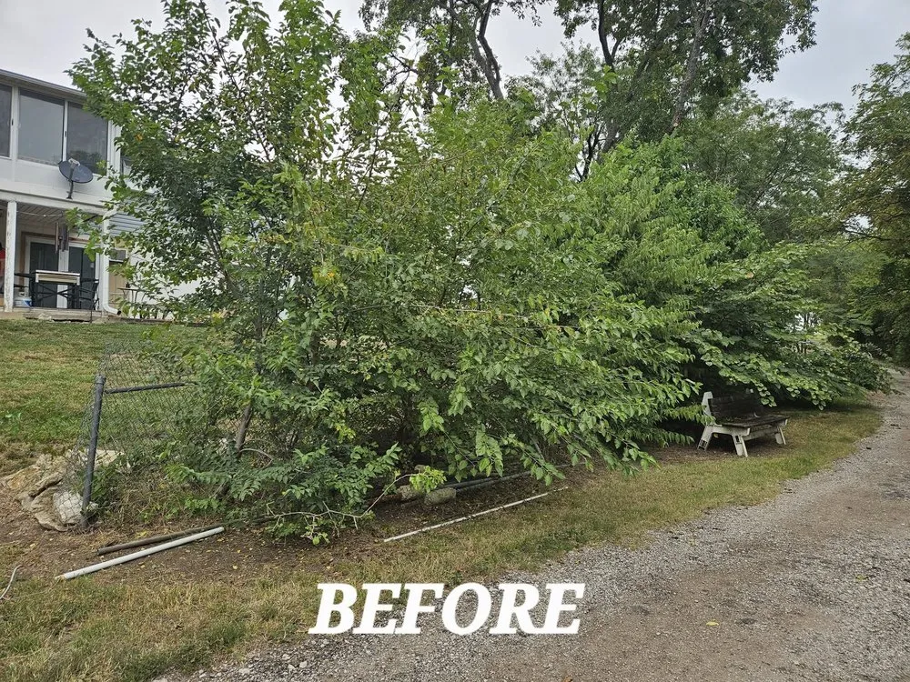 Local yard maintenance for residential properties across Lenexa, KS - BIO Lawn