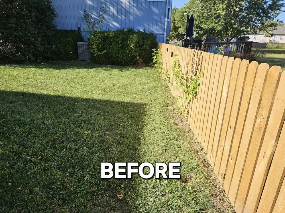 Trusted lawn care service in Lenexa, KS - BIO Lawn