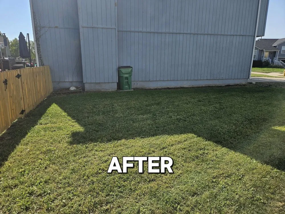 Reliable landscaping services for residential properties in Lenexa, KS by BIO Lawn