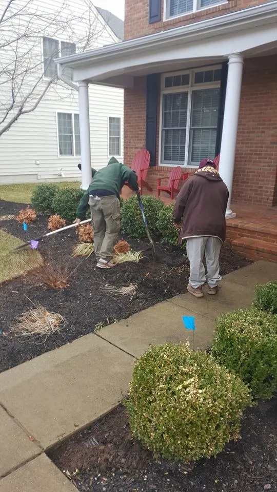 Local residential landscaping experts serving Chantilly, VA - Bio Turf