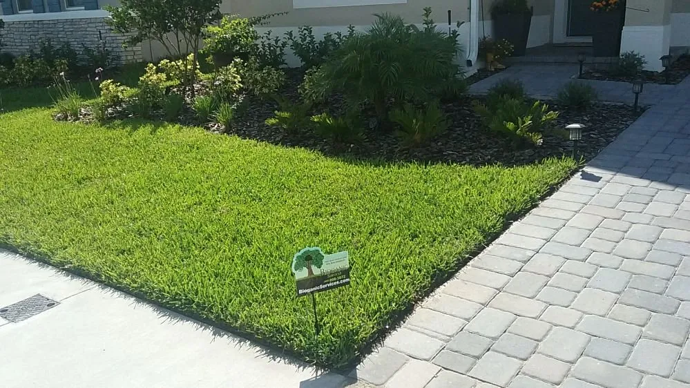 Custom landscaping services experts serving Orlando, FL - Bioganic Services