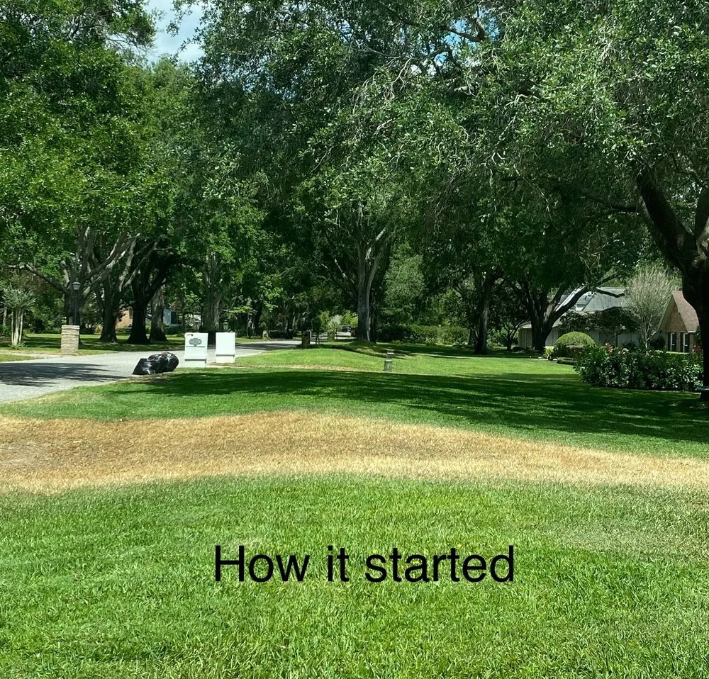 Custom yard maintenance in Orlando, FL by Bioganic Services