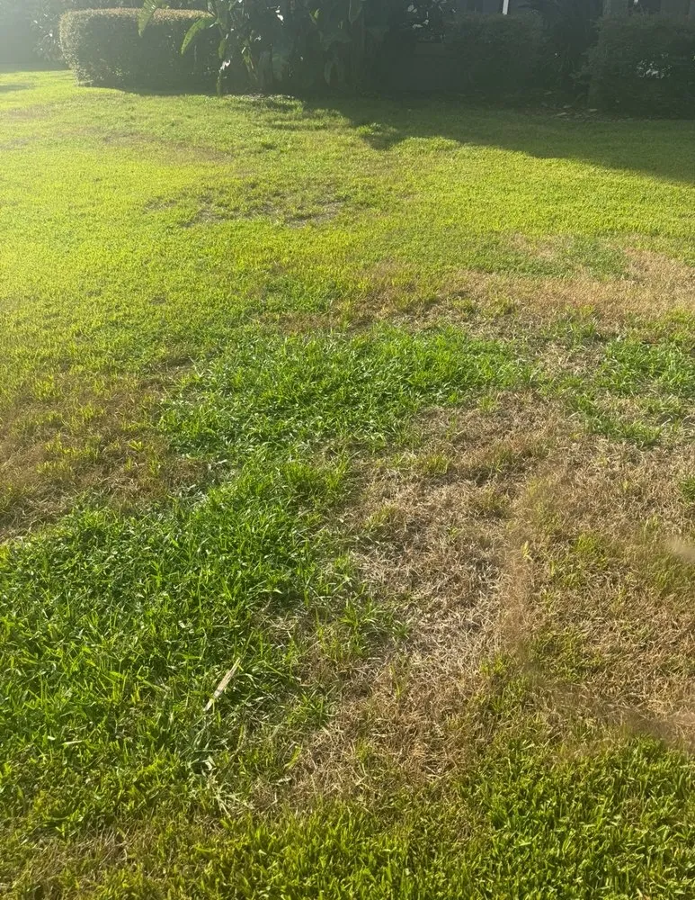 Reliable lawn mowing service in Orlando, FL by Bioganic Services