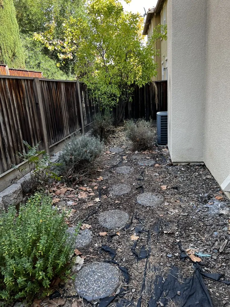 Local yard maintenance in San Jose, CA - BioGreen Landscape