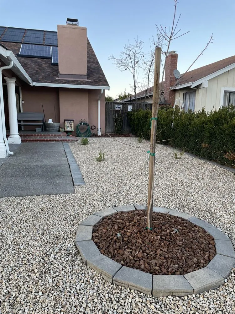 Reliable landscape installation for homes in San Jose, CA by BioGreen Landscape