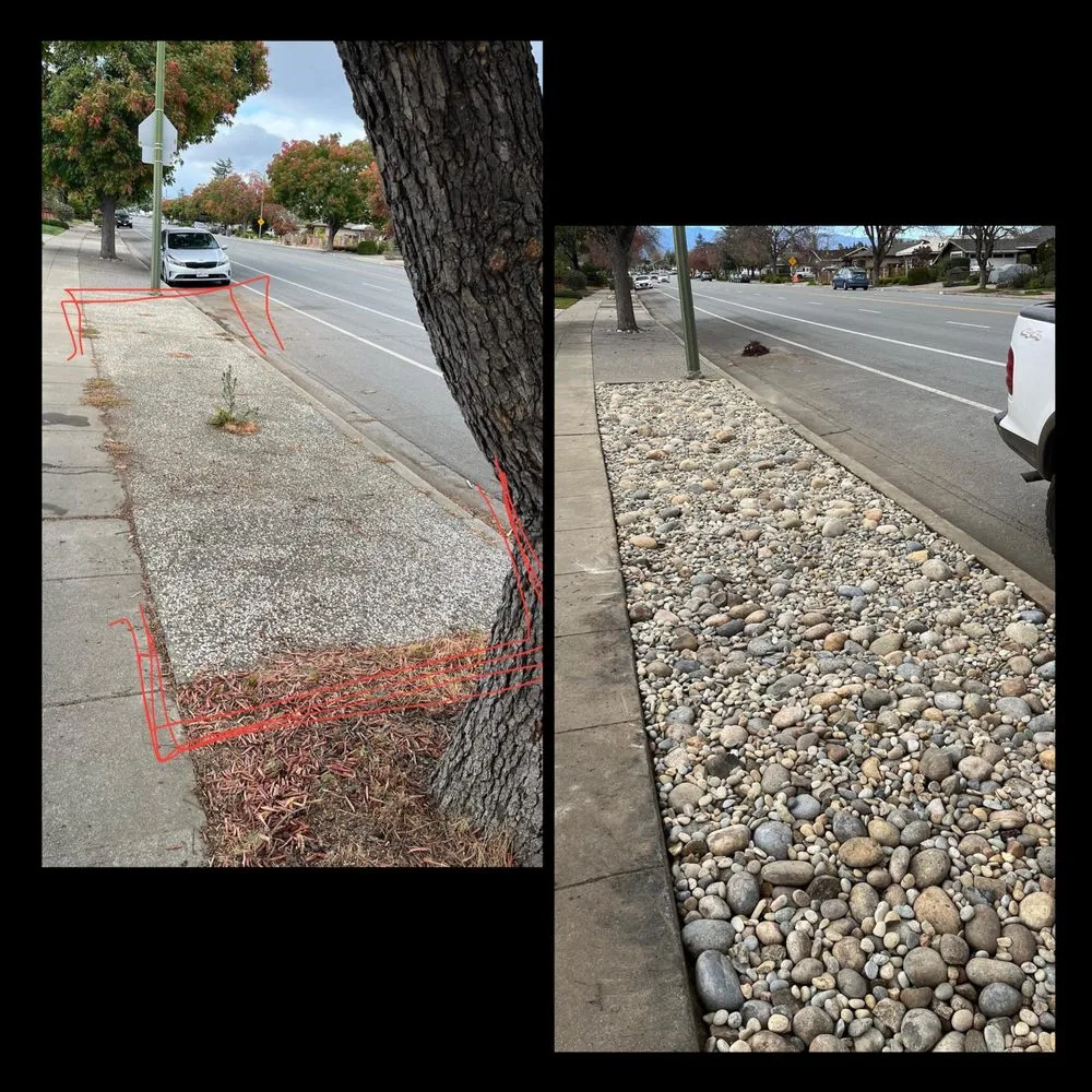 Affordable landscape design in San Jose, CA by BioGreen Landscape