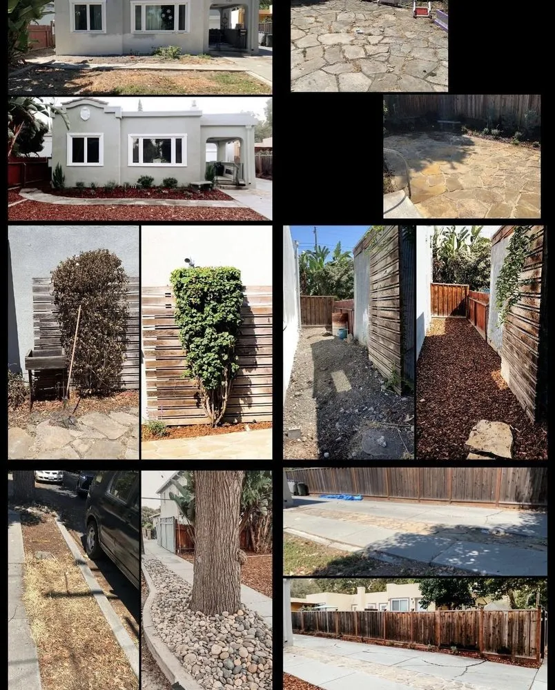 Trusted lawn mowing service experts serving San Jose, CA - BioGreen Landscape