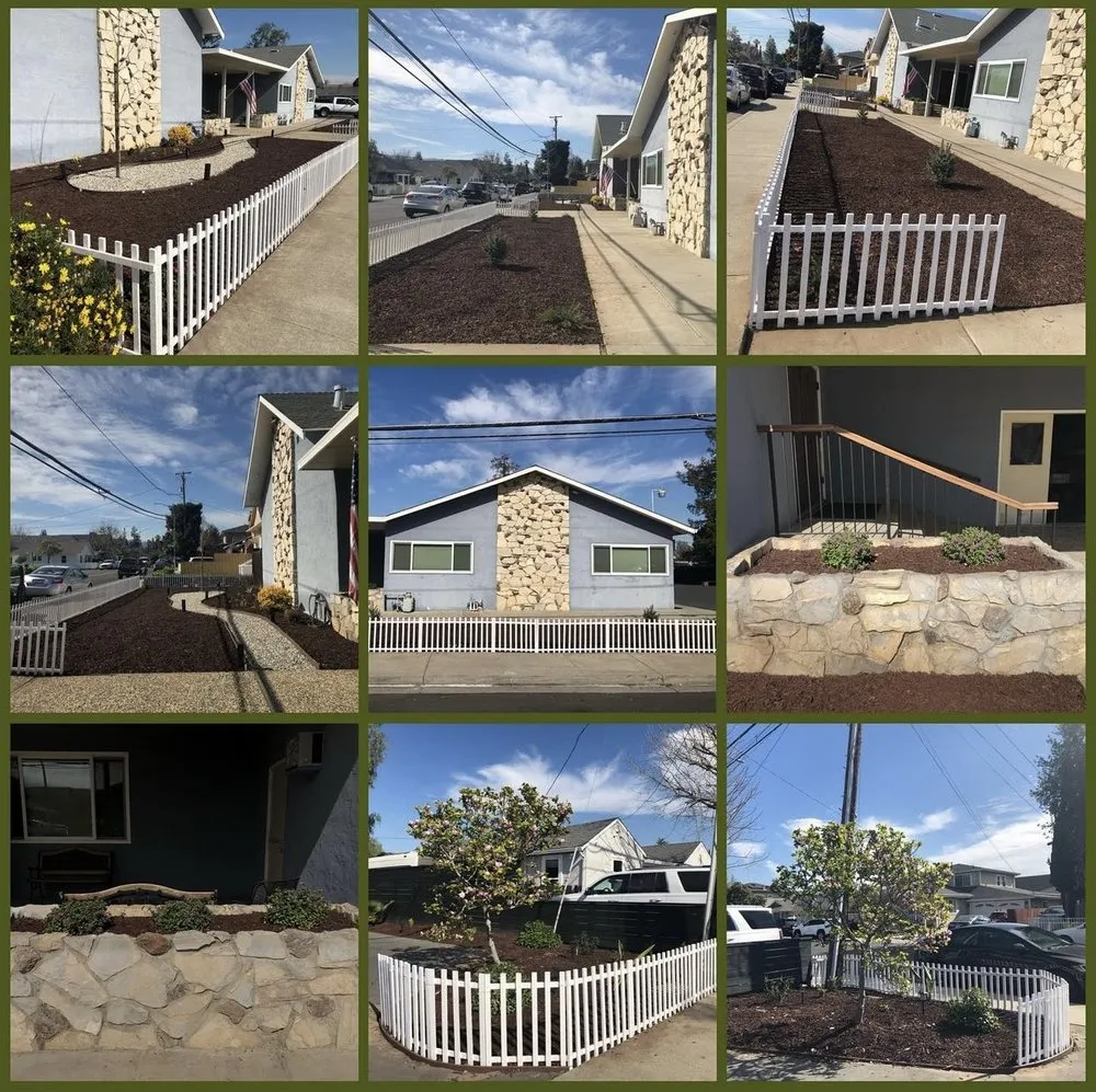 Trusted yard maintenance in San Jose, CA by BioGreen Landscape