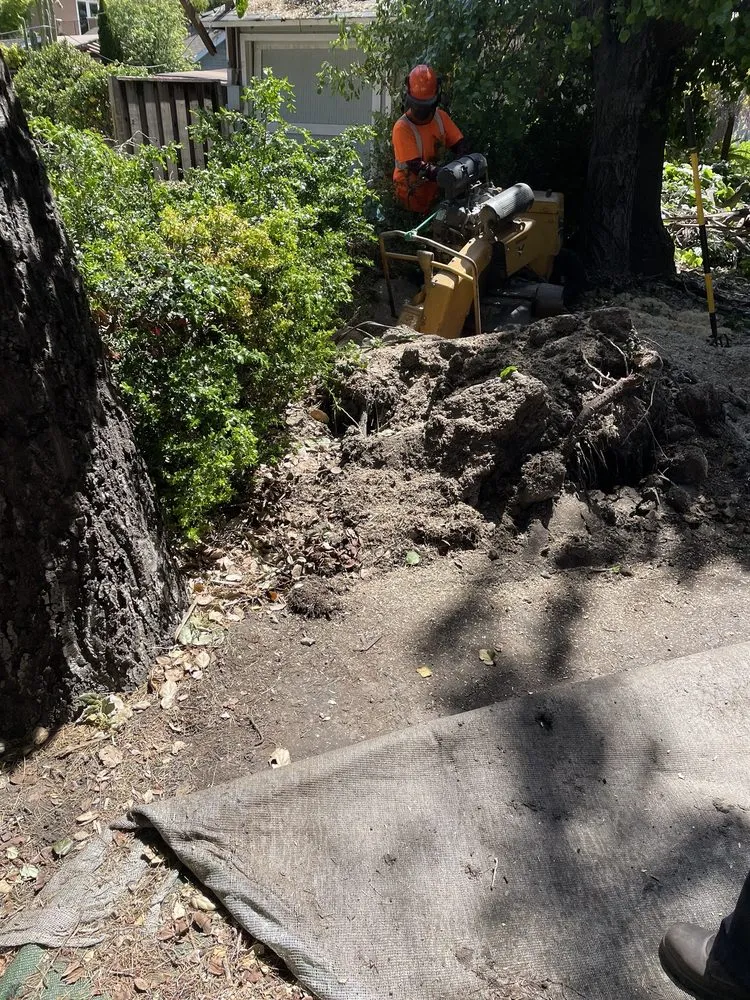 Custom landscape installation experts serving San Jose, CA - BioGreen Landscape