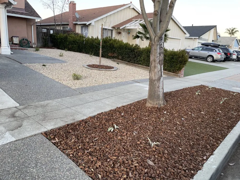 Trusted landscape design in San Jose, CA - BioGreen Landscape