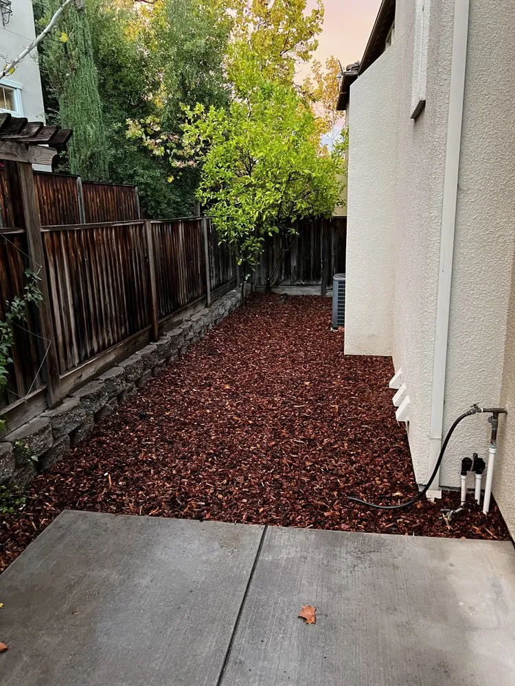 Affordable yard cleanup service in San Jose, CA - BioGreen Landscape