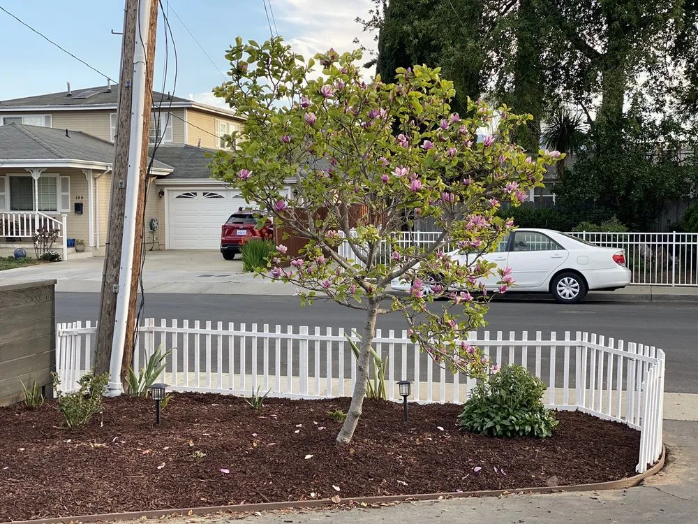 Custom landscape design for outdoor upgrades across San Jose, CA - BioGreen Landscape